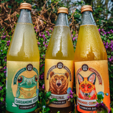 R-Kombucha 75cl - Boissons