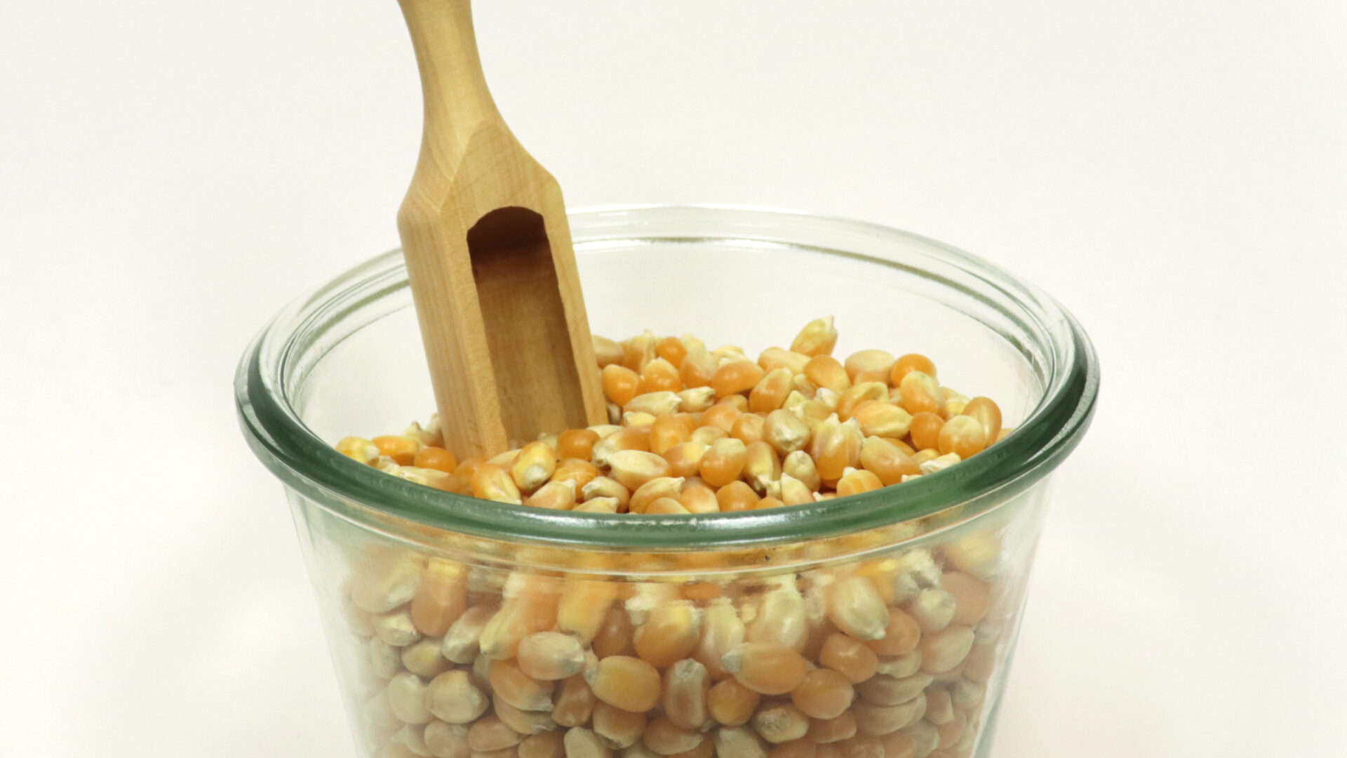 Maïs à pop corn – Image 2