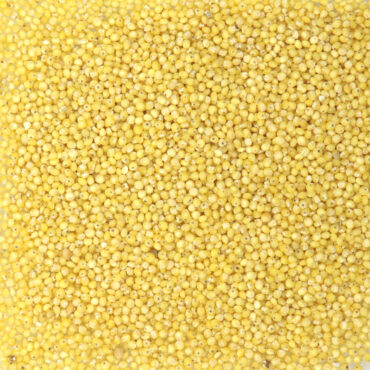 Millet décortiqué - Céréales & légumineuses