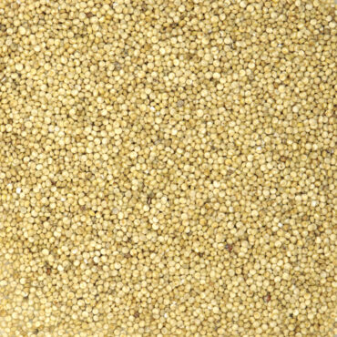 Quinoa blanc - Céréales & légumineuses
