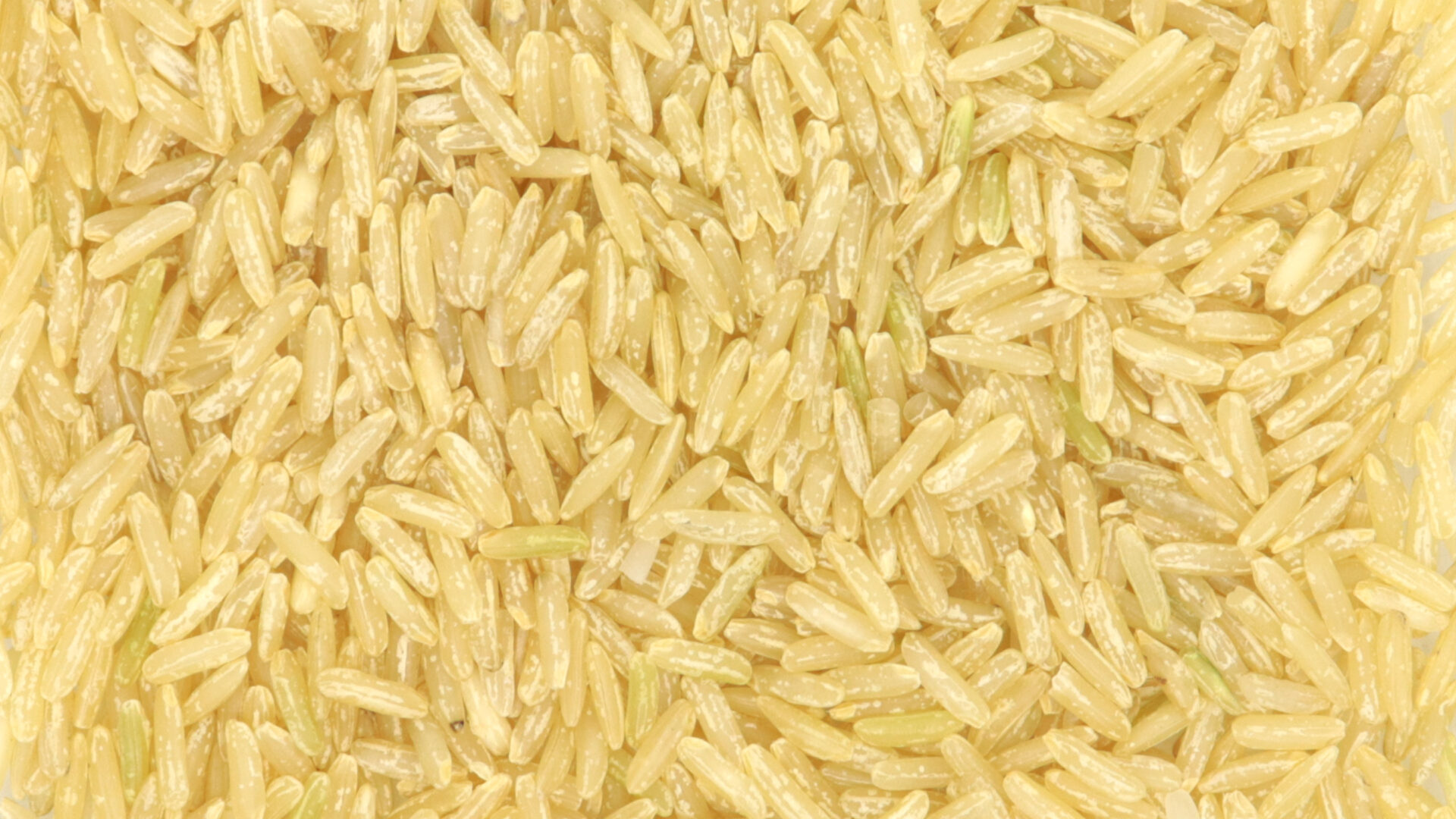 Riz Thaï complet - Céréales & légumineuses