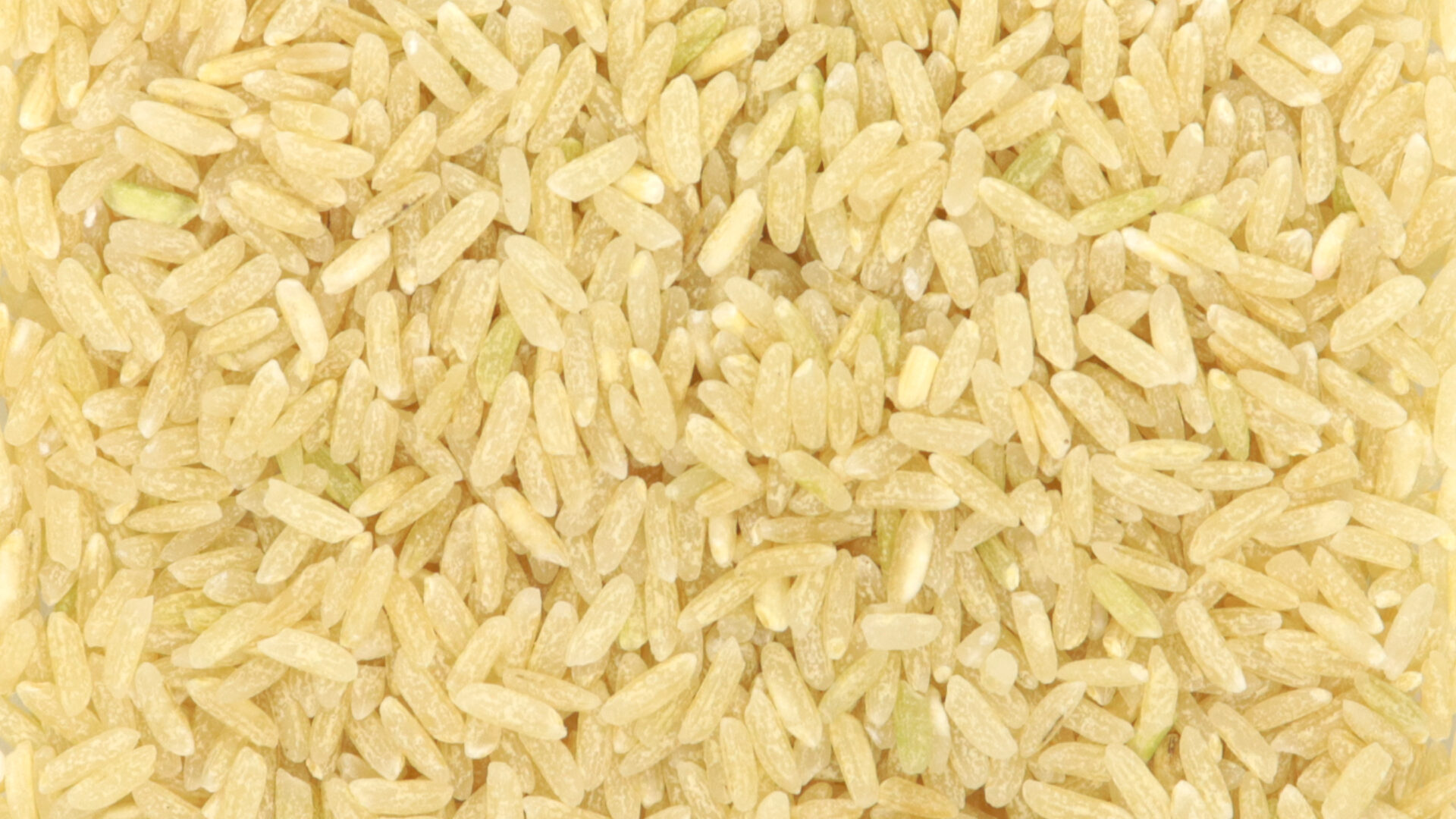 Riz semi-complet de camargue - Céréales & légumineuses