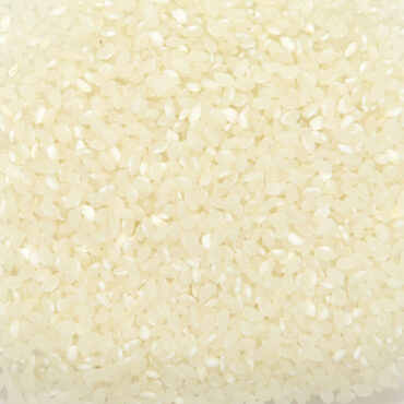 Riz rond blanc - Céréales & légumineuses