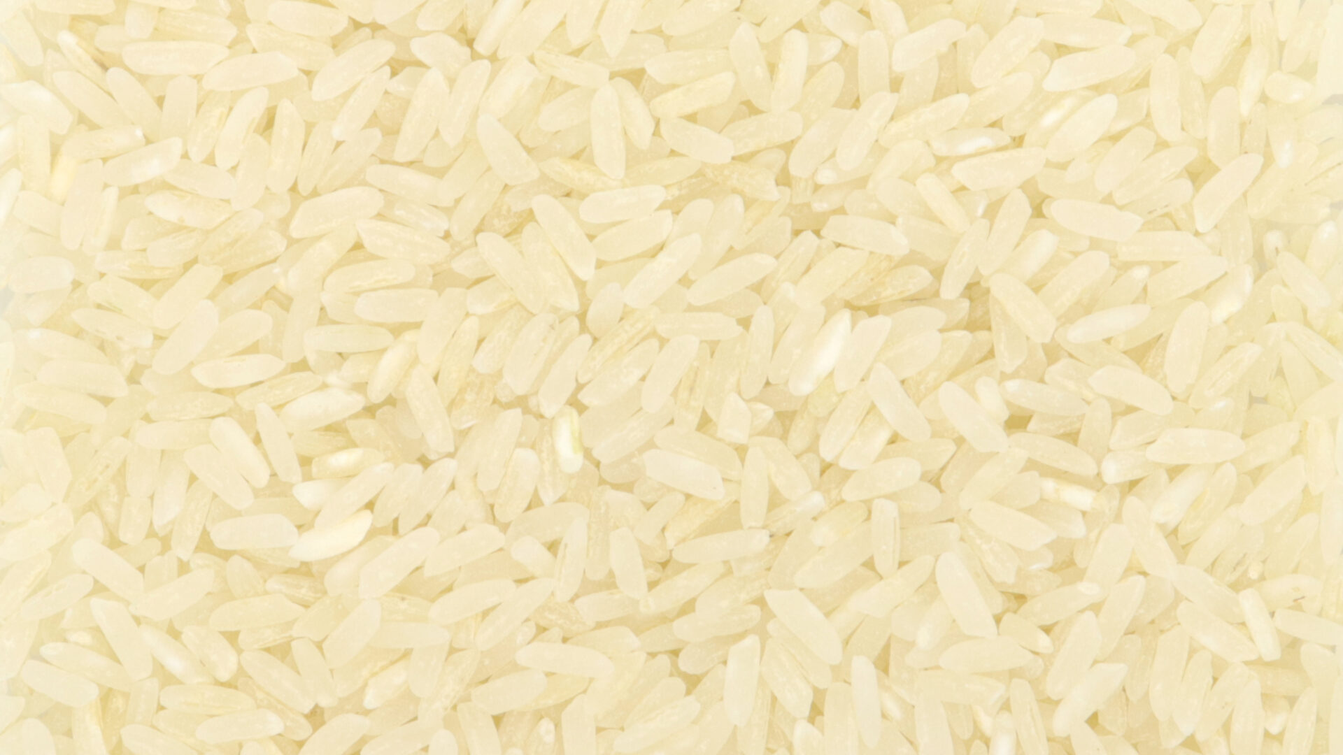 Riz long blanc Camargue - Céréales & légumineuses