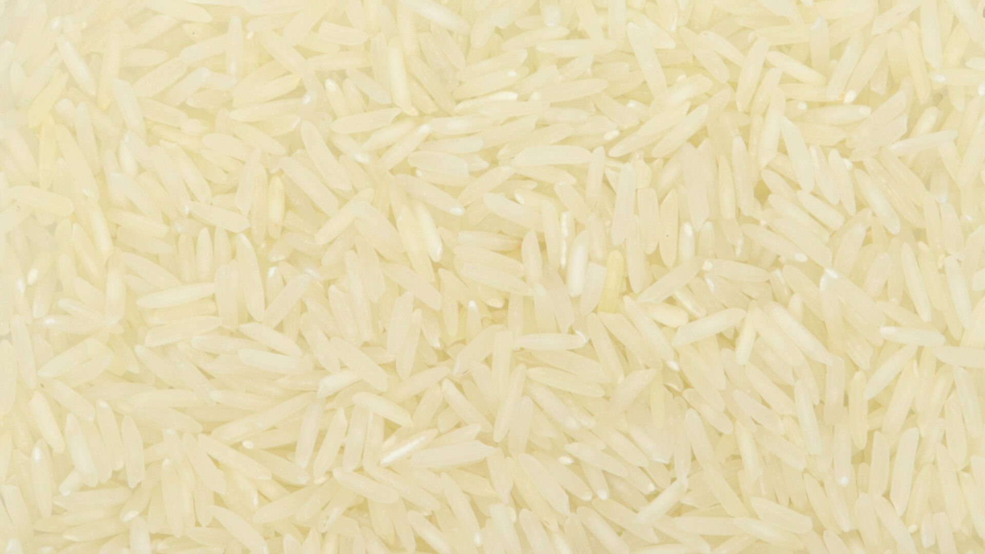 Riz Basmati blanc - Céréales & légumineuses
