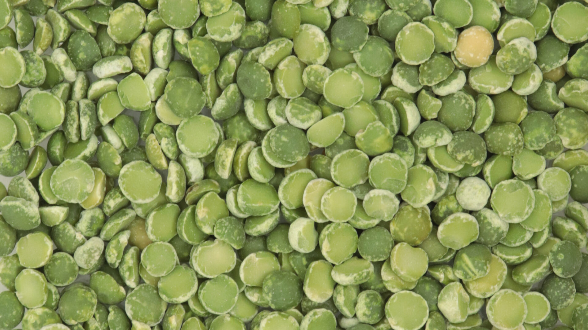 Pois cassés - Céréales & légumineuses