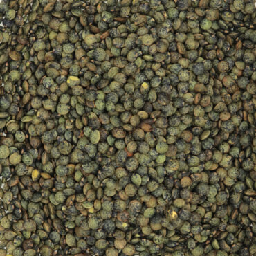 Lentilles vertes - Céréales & légumineuses