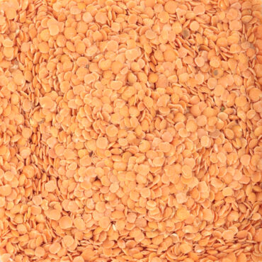Lentilles corail - Céréales & légumineuses