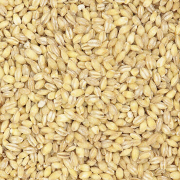 Orge perlé - Céréales & légumineuses