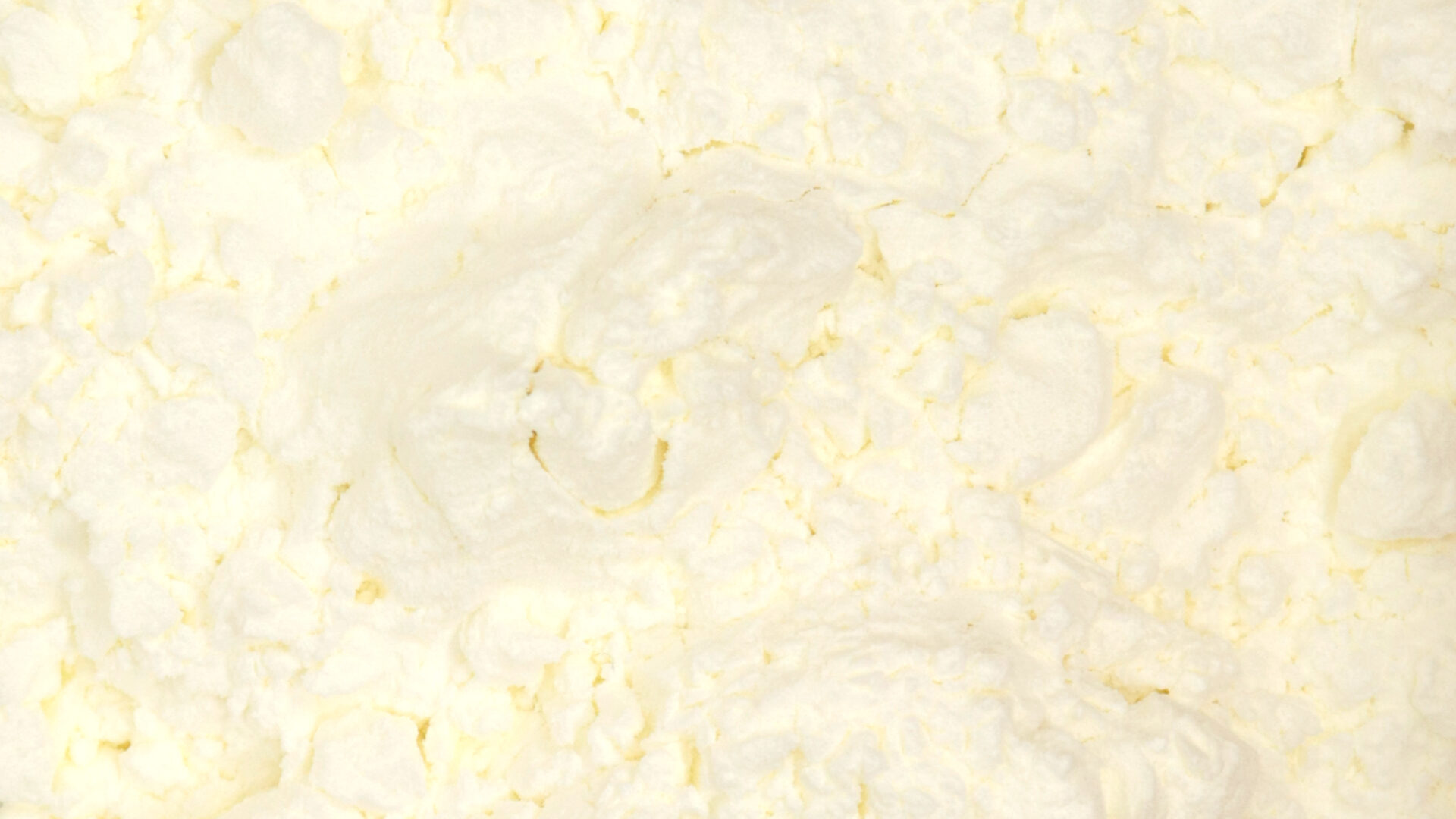 Fécule de Maïs - Essentiels pâtisserie