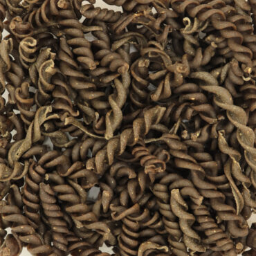 Torsades aux lentilles vertes - Céréales & légumineuses