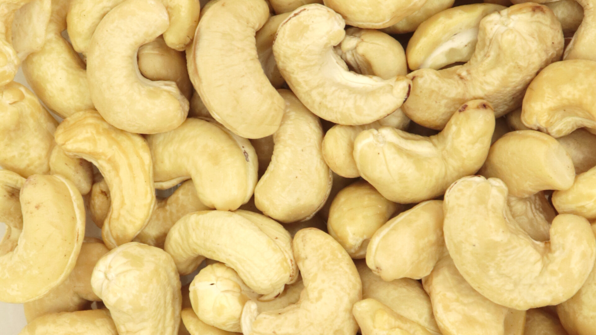 Noix de cajou - Fruits secs & apéritifs