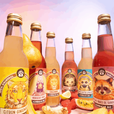 R-Kombucha 33cl pasteurisé - Boissons